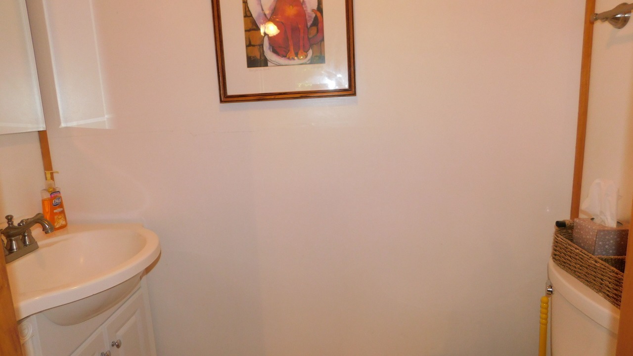 Photo of Bathroom in South Casco