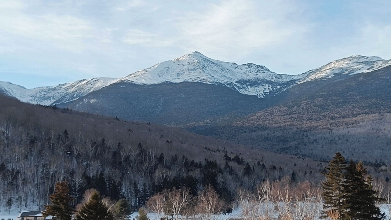 Photo of Others in Gorham