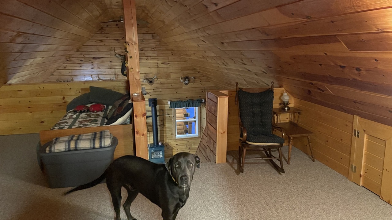 Photo of Others in Beaver Cove