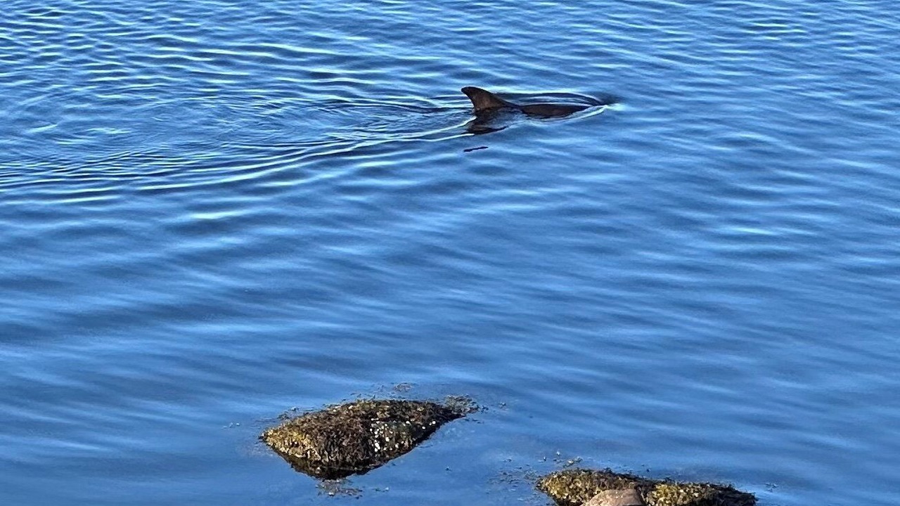 Photo of Others in Narragansett