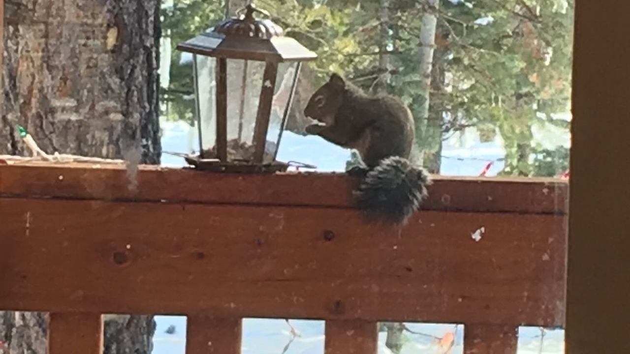 Photo of Outdoor in Meadow View Heights