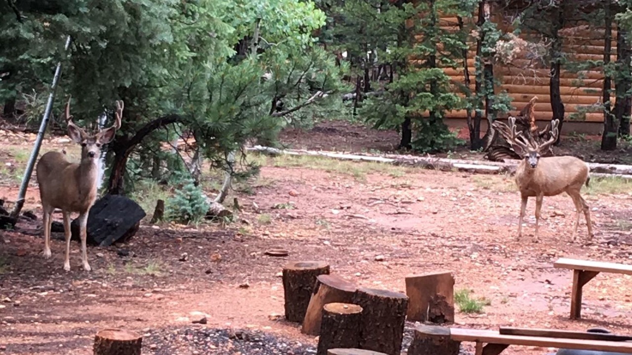 Photo of Outdoor in Meadow View Heights