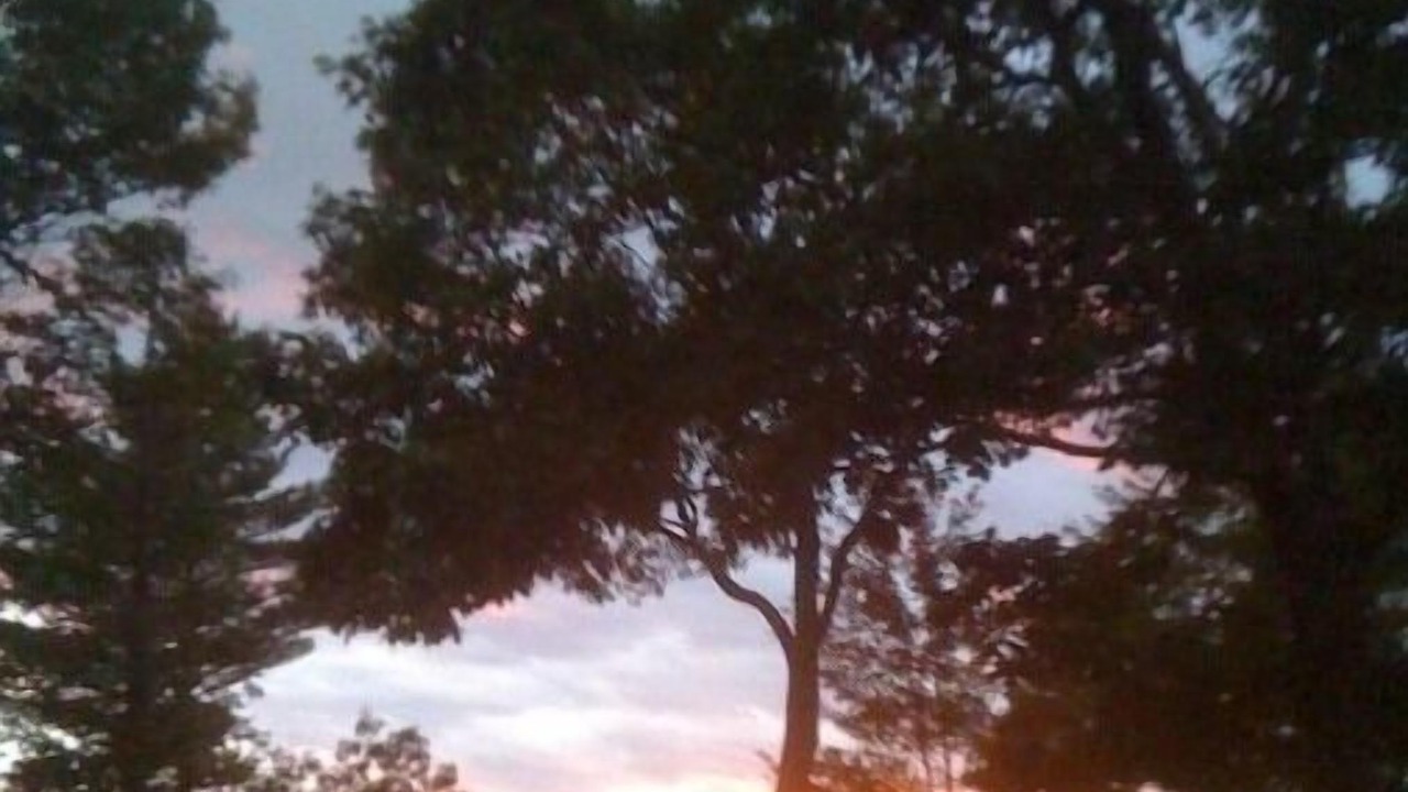 Photo of Outdoor in Windham