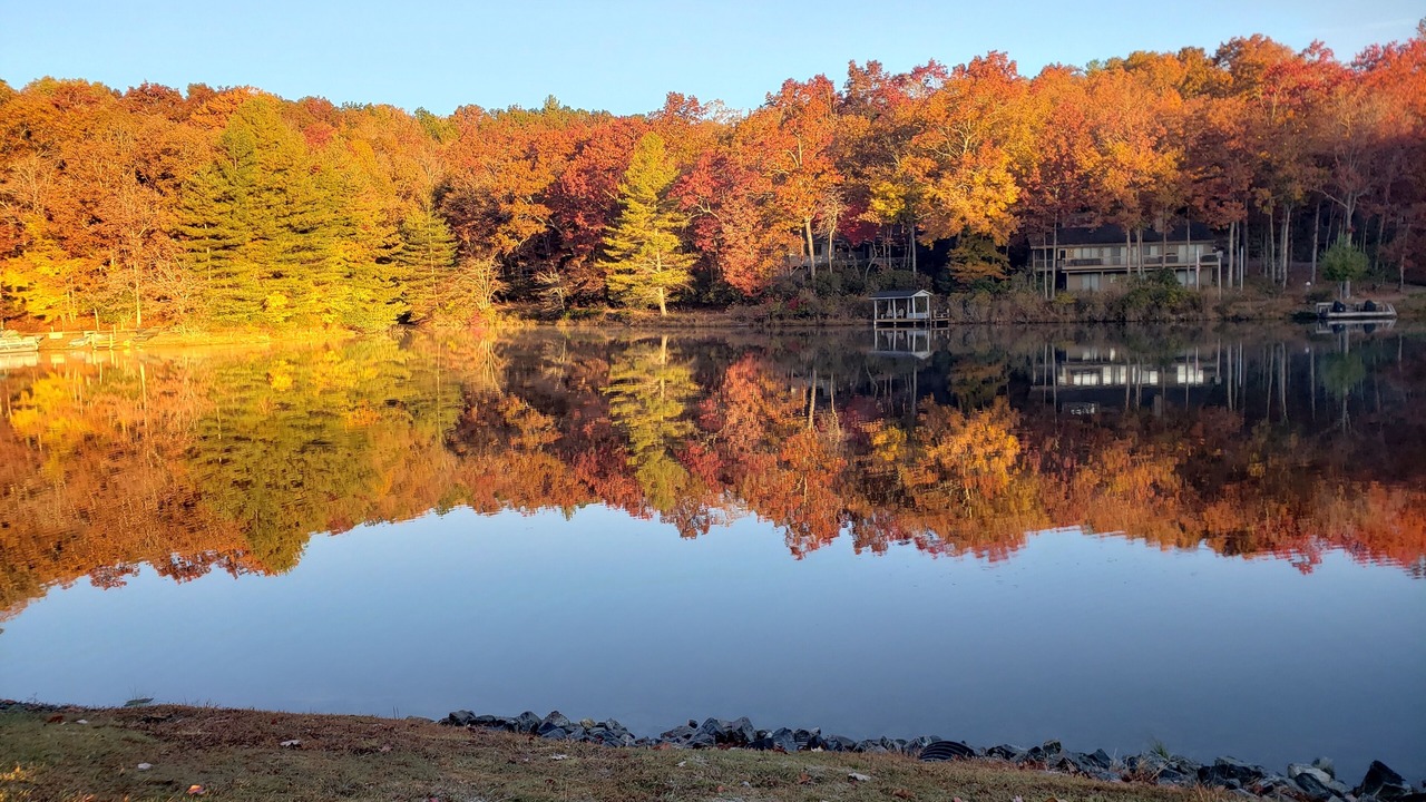 Photo of Outdoor in Brevard