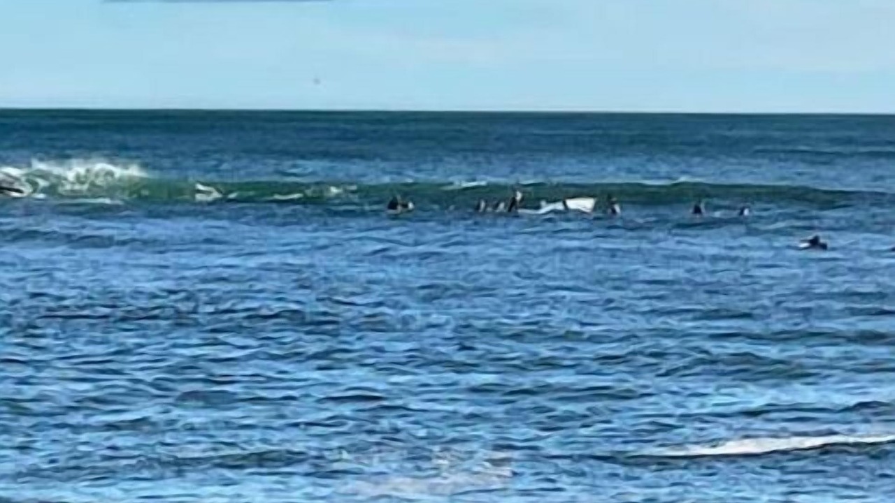 Photo of Others in Pond Cove