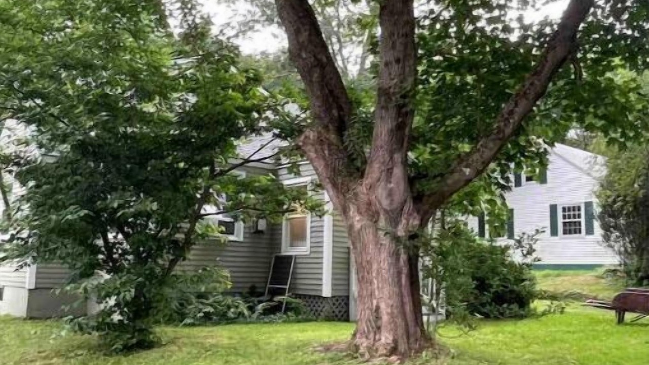 Photo of Outdoor in Pond Cove