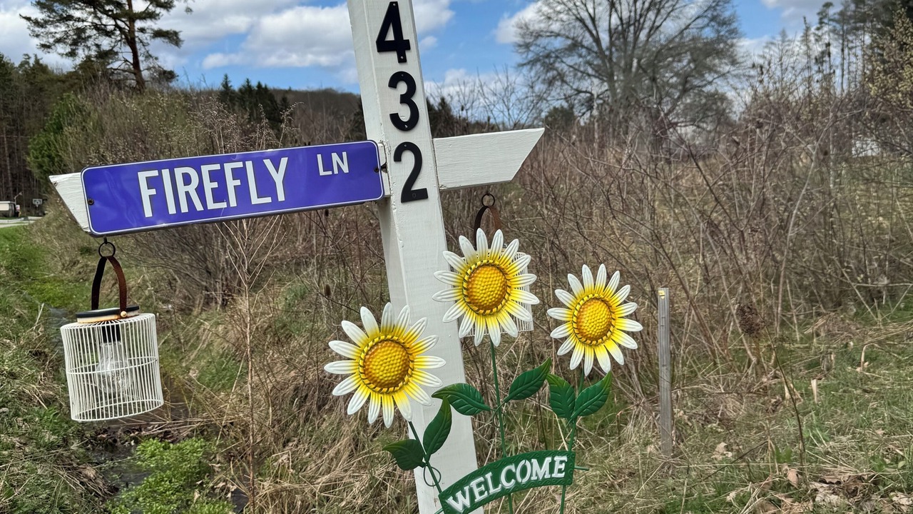 Photo of Outdoor in Olean