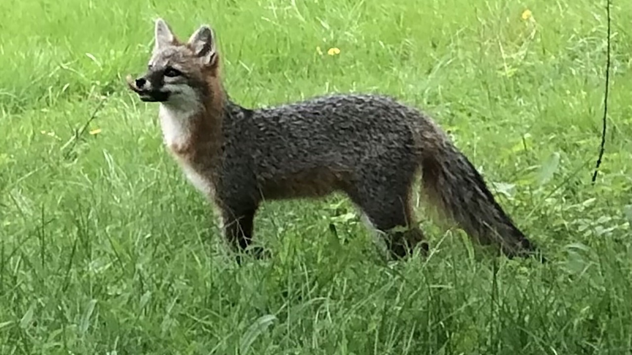 Photo of Others in Wayne