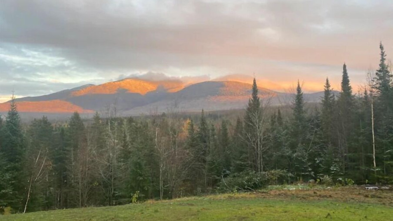 Photo of Others in White Mountains