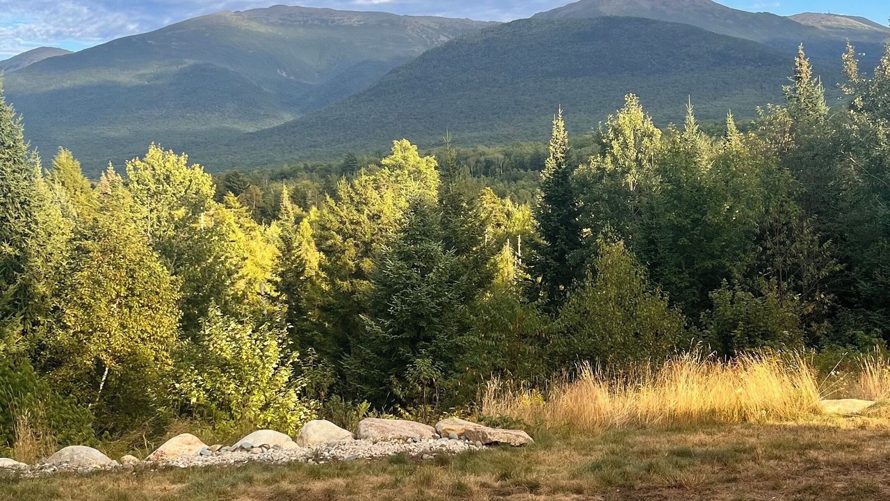 Photo of Others in White Mountains