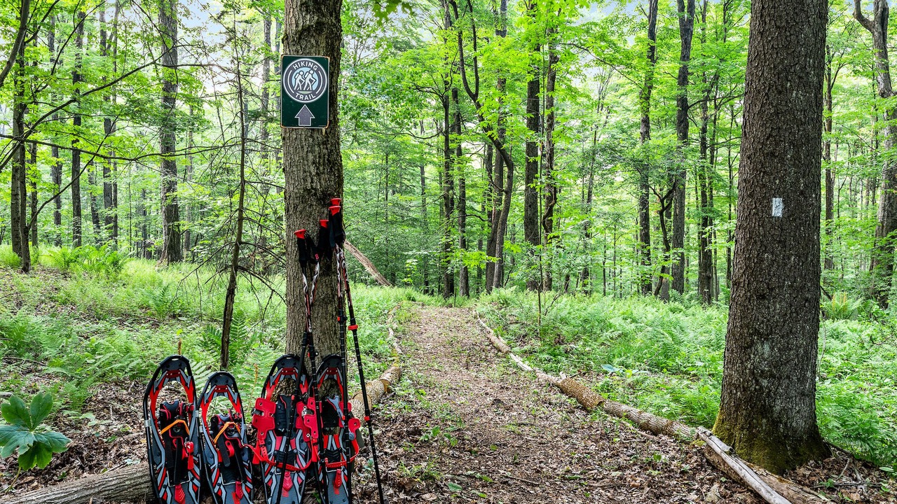 Photo of Outdoor in Ellicottville