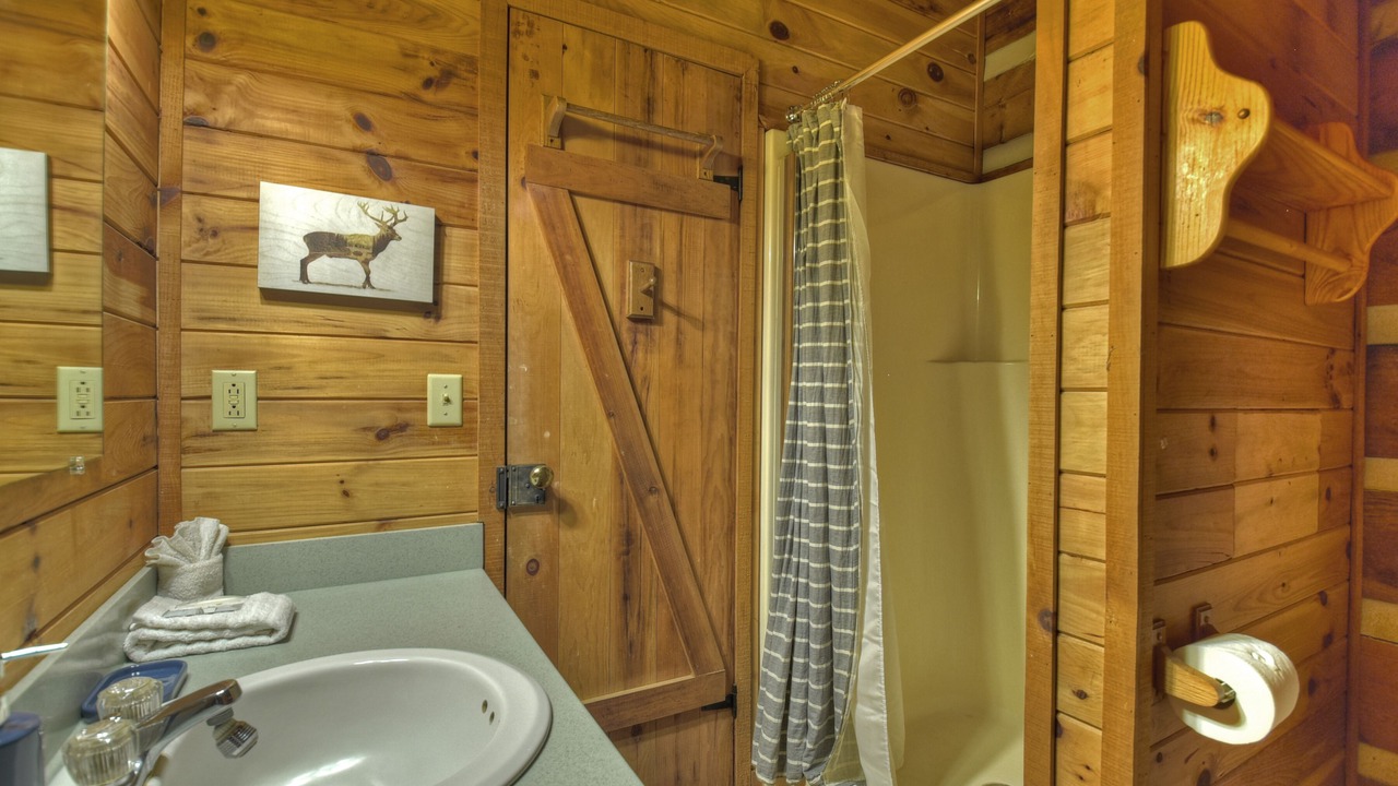 Photo of Bathroom in Dial