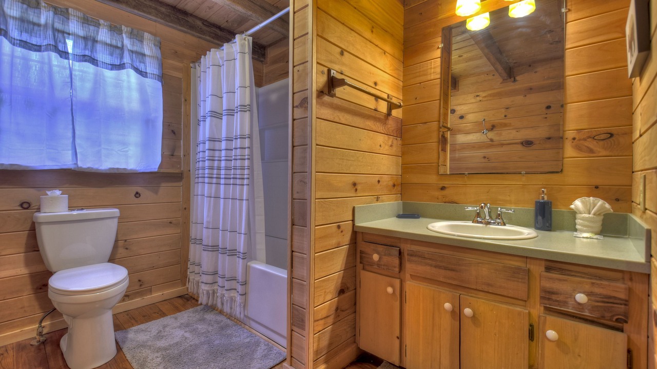Photo of Bathroom in Dial