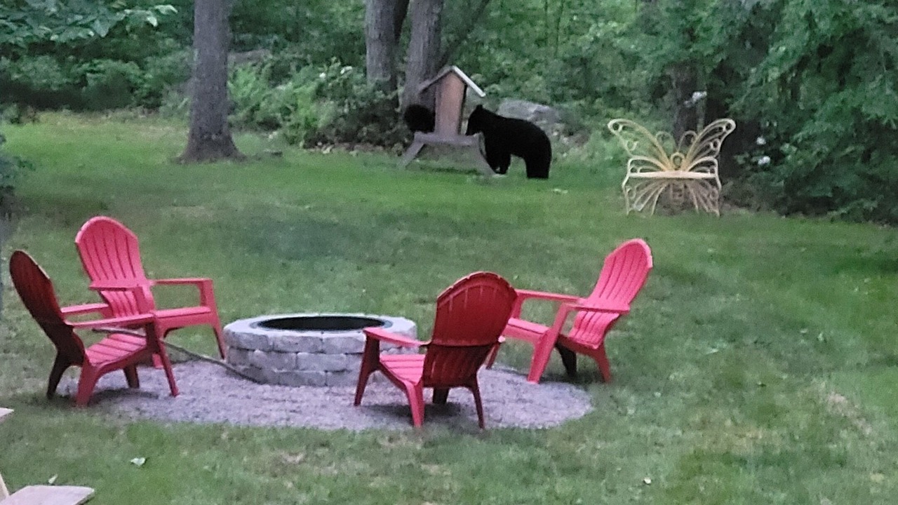 Photo of Outdoor in Sabinsville
