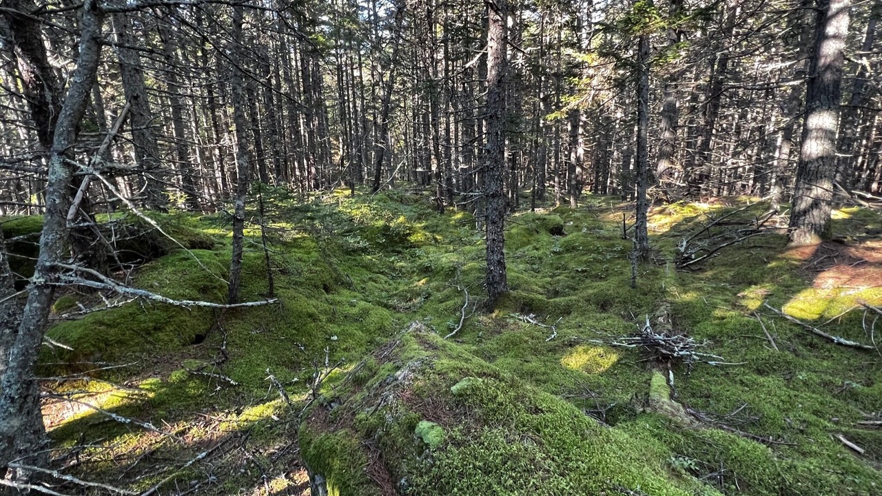 Photo of Outdoor in West Point