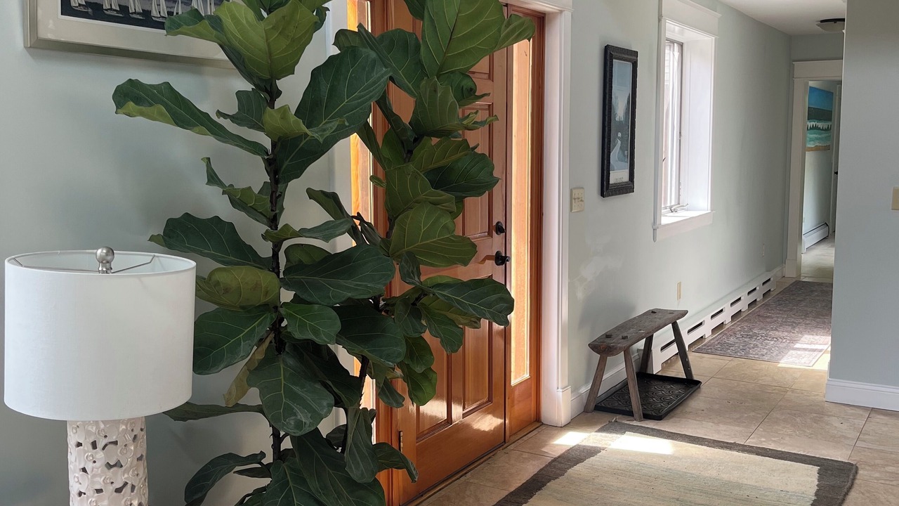 Photo of Livingroom in Cape Porpoise