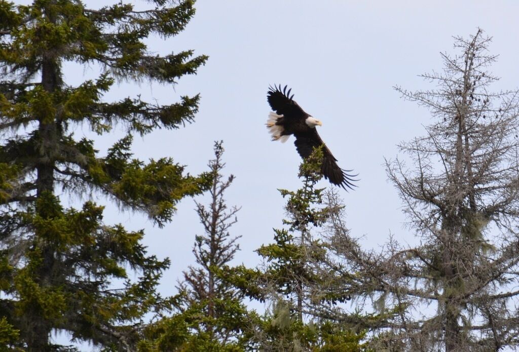Photo of Others in Mount Desert