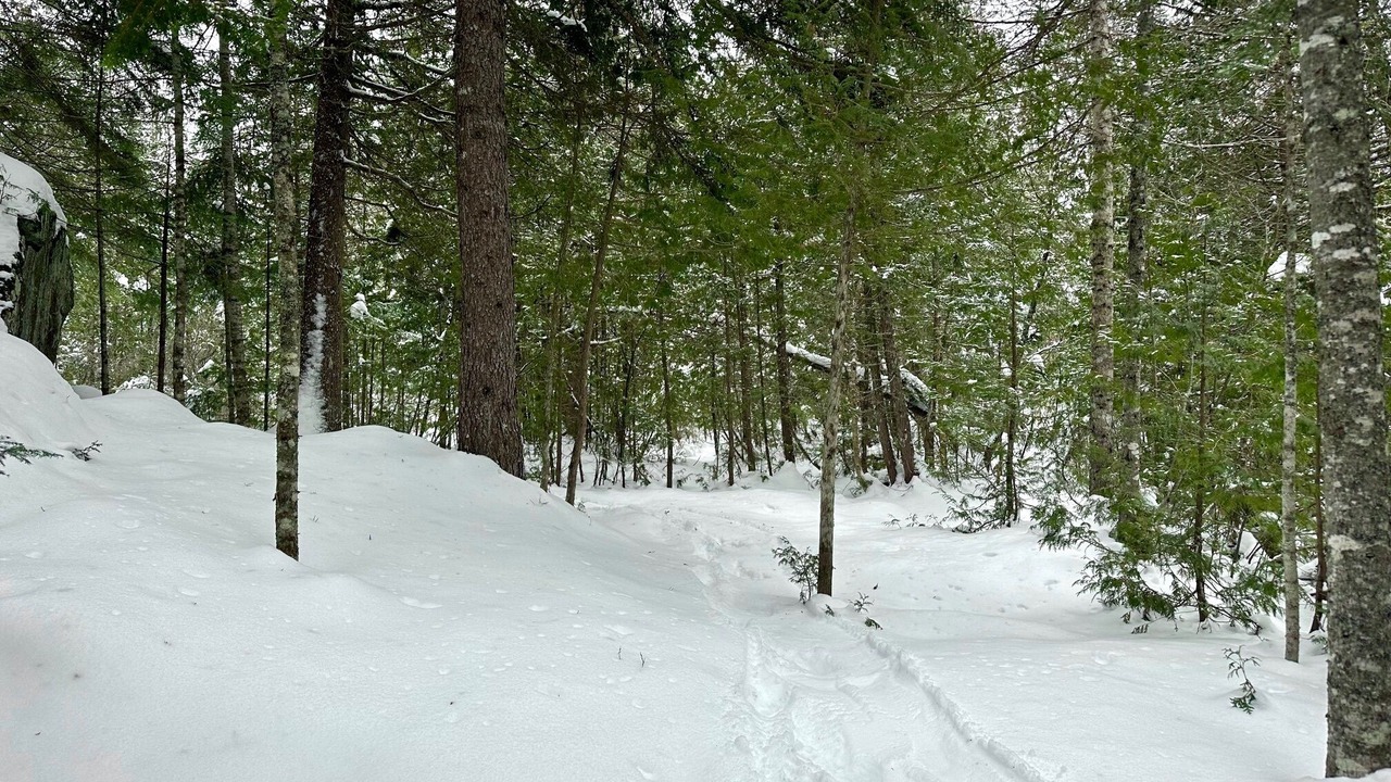 Photo of Others in Rangeley