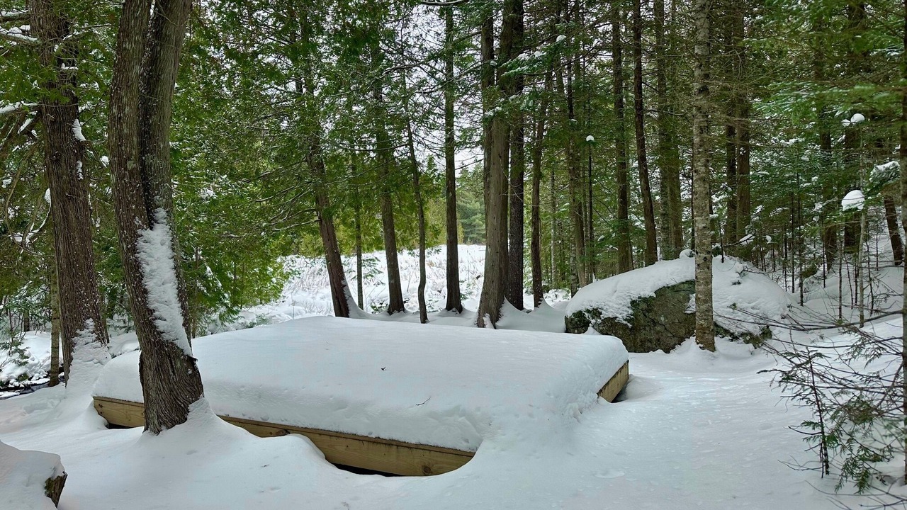 Photo of Others in Rangeley