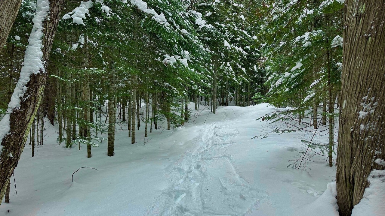 Photo of Others in Rangeley