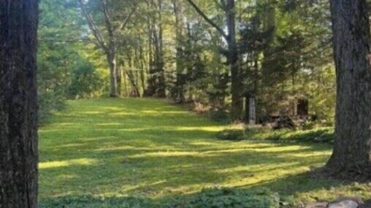 Photo of Outdoor in New Wilmington