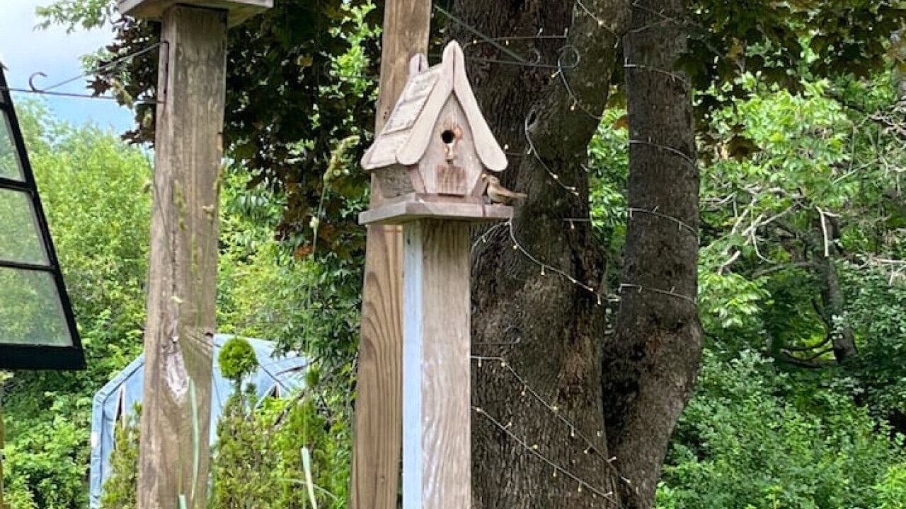 Photo of Outdoor in Bridgton