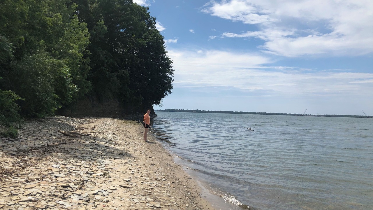 Photo of Others in Lawrence Park