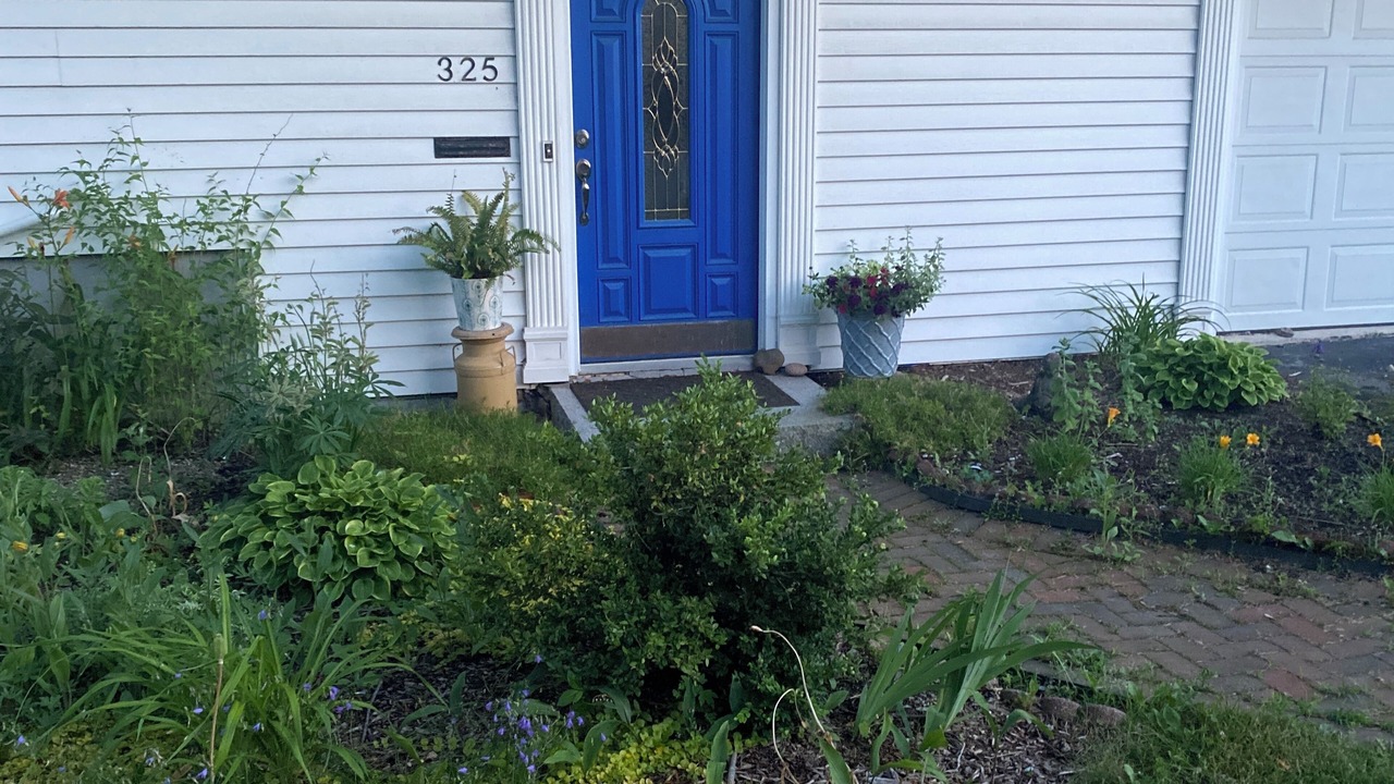 Photo of Outdoor in Bangor