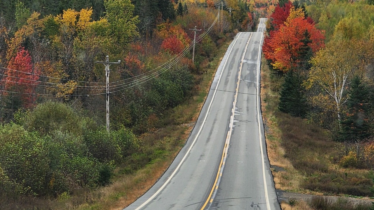 Photo of Outdoor in Patten