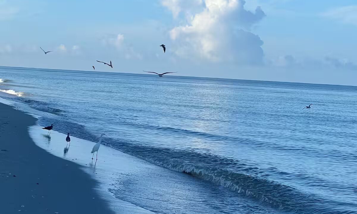 Photo of Others in Naples Park