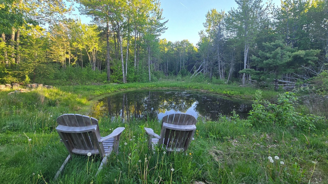 Photo of Outdoor in Lincolnville