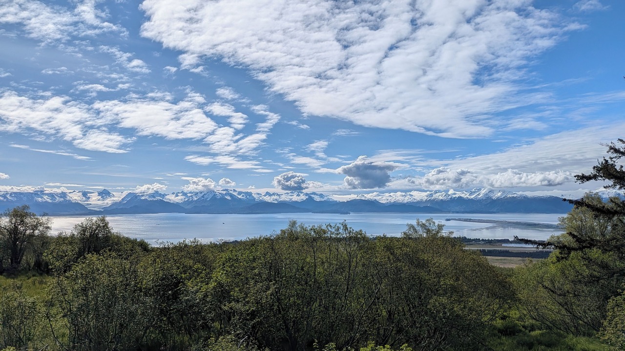 Photo of Others in Homer