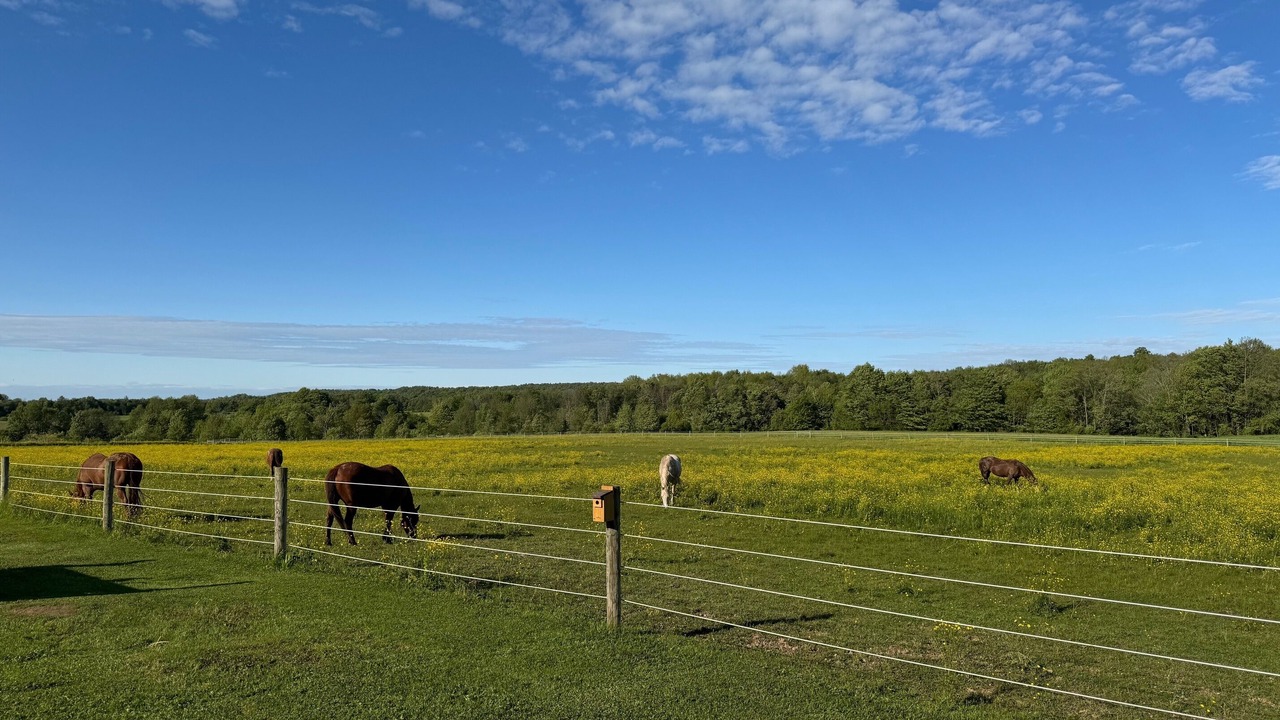 Photo of Others in French Creek