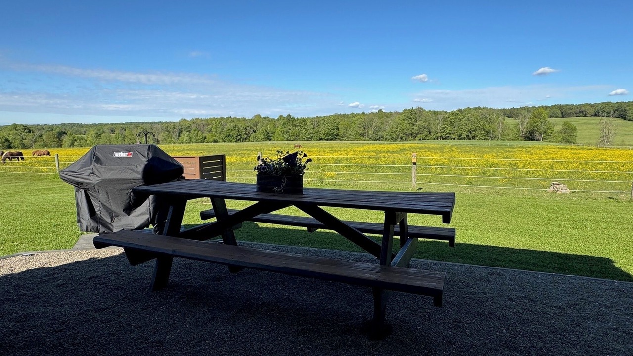 Photo of Outdoor in French Creek