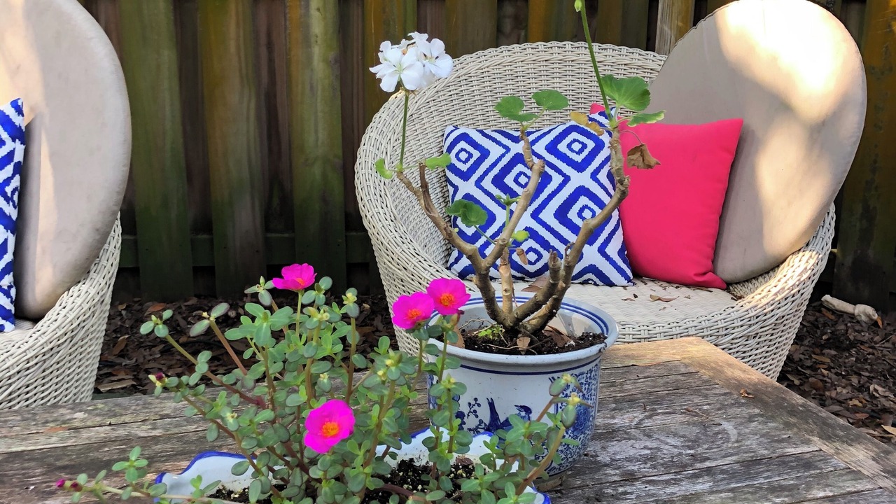 Photo of Outdoor in Saint Simons Island