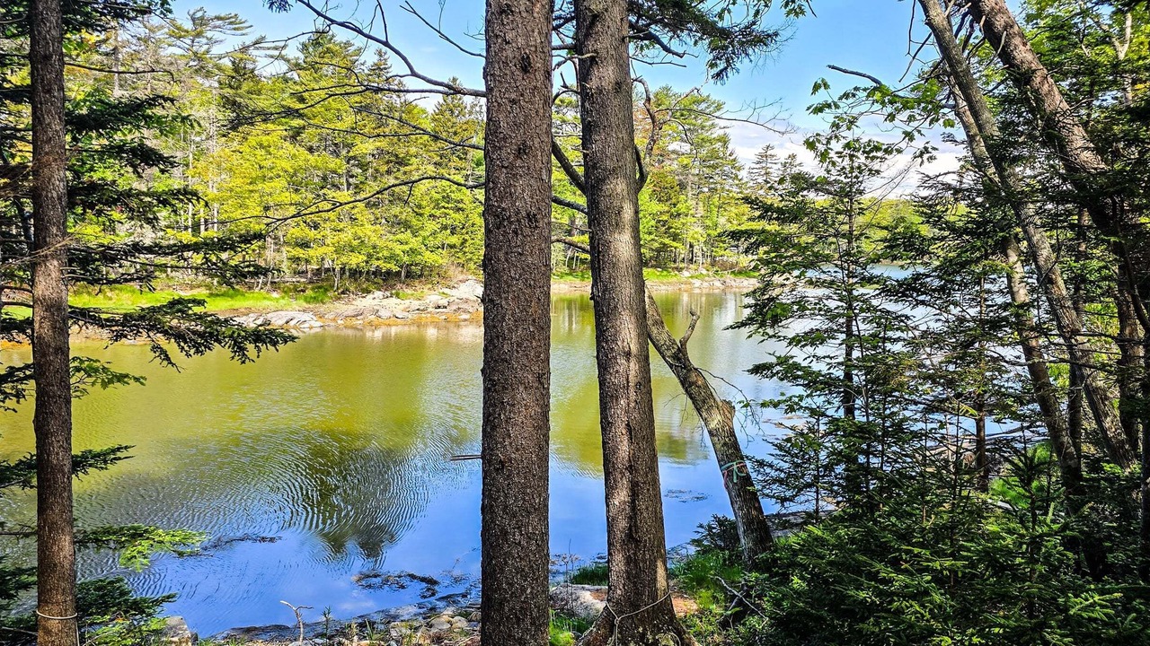 Photo of Others in East Boothbay