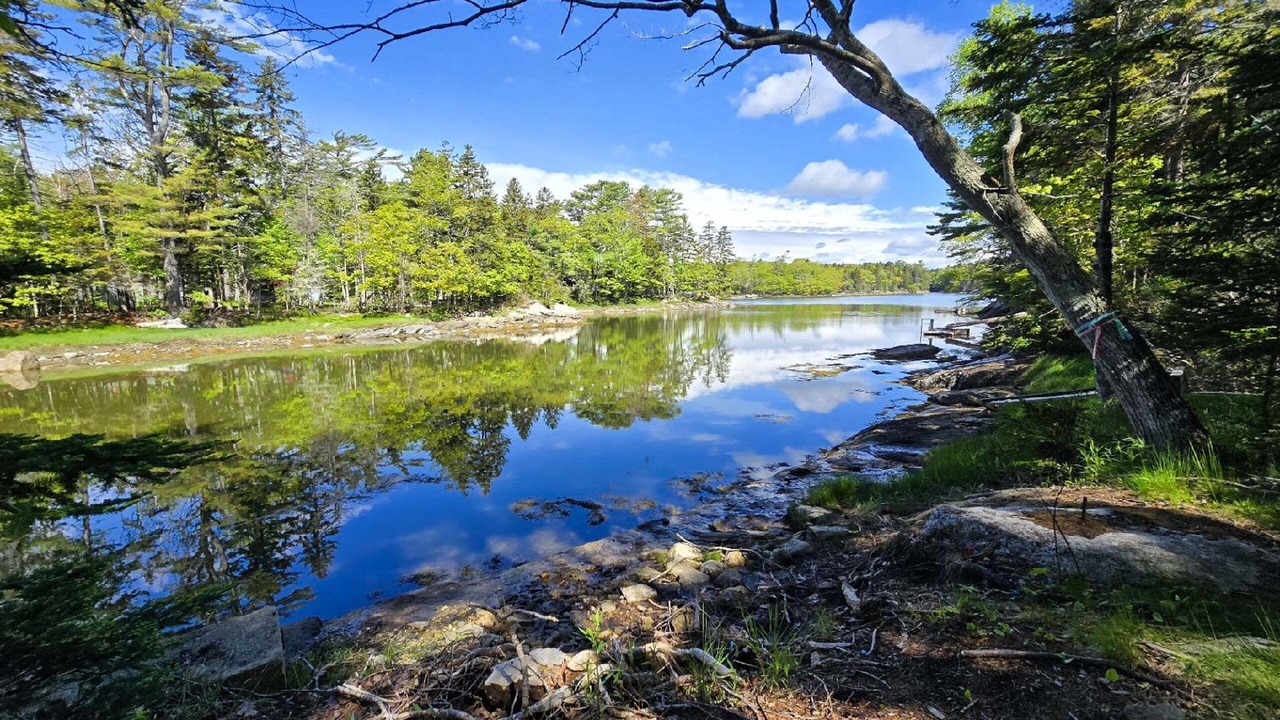 Photo of Others in East Boothbay