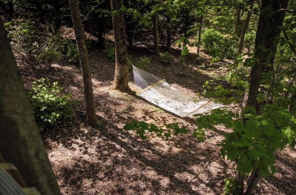 Photo of Outdoor in Skyland