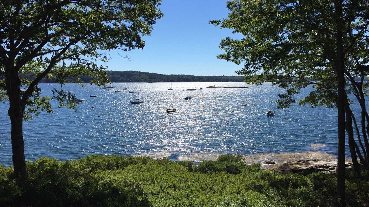 Photo of Others in Bayville