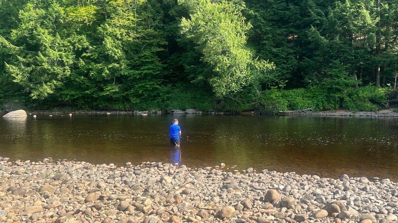 Photo of Others in Cold Brook