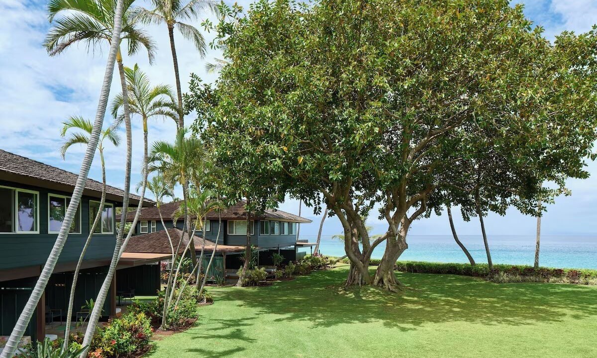 Photo of Others in Lahaina