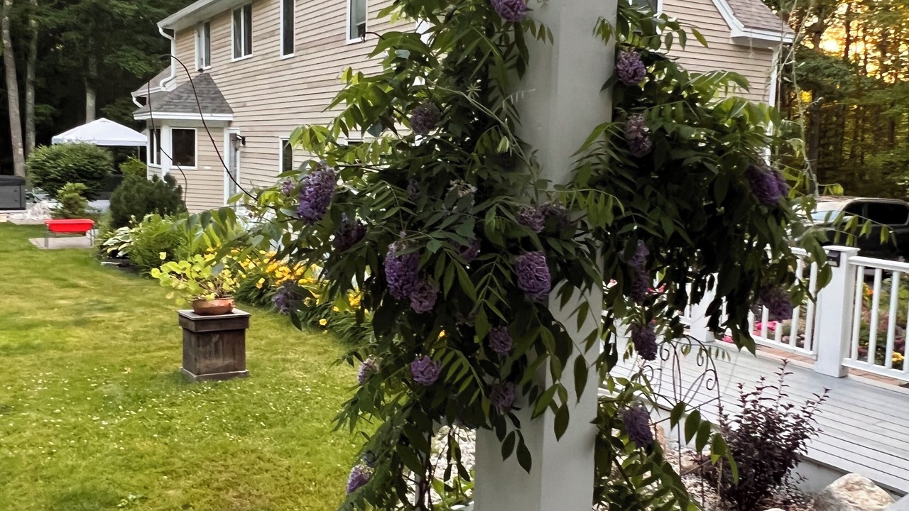 Photo of Outdoor in Freeport