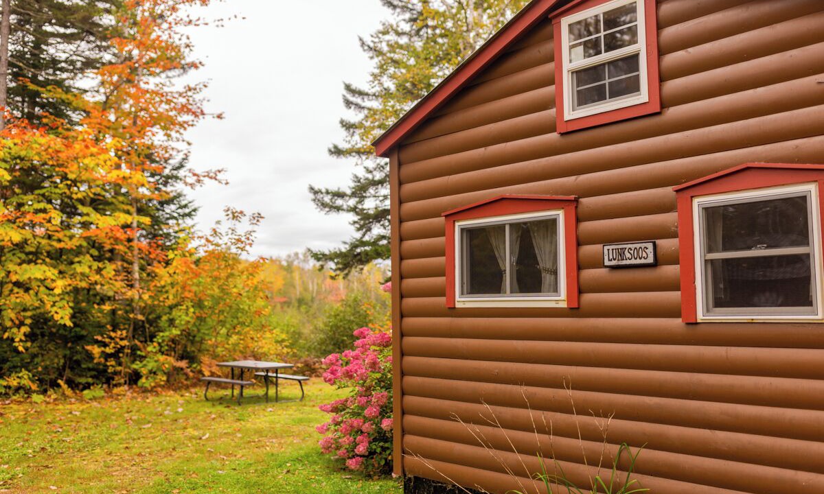 Photo of Outdoor in Shin Pond