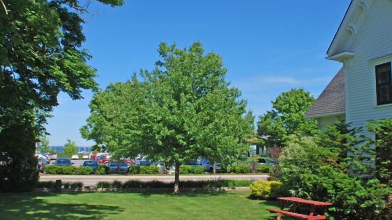 Photo of Others in Rockland