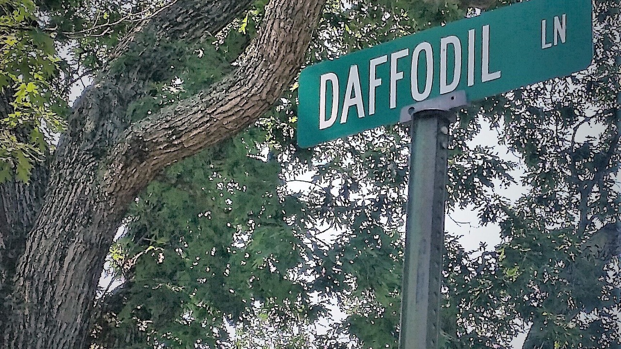 Photo of Outdoor in Litchfield