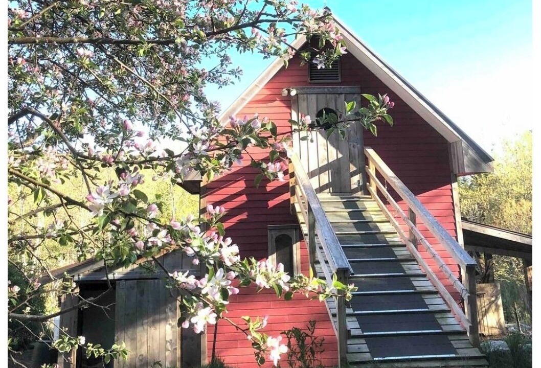 Photo of Outdoor in Franklin