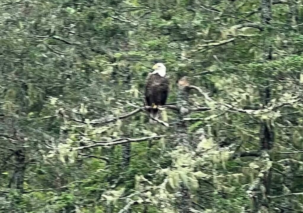 Photo of Others in Franklin