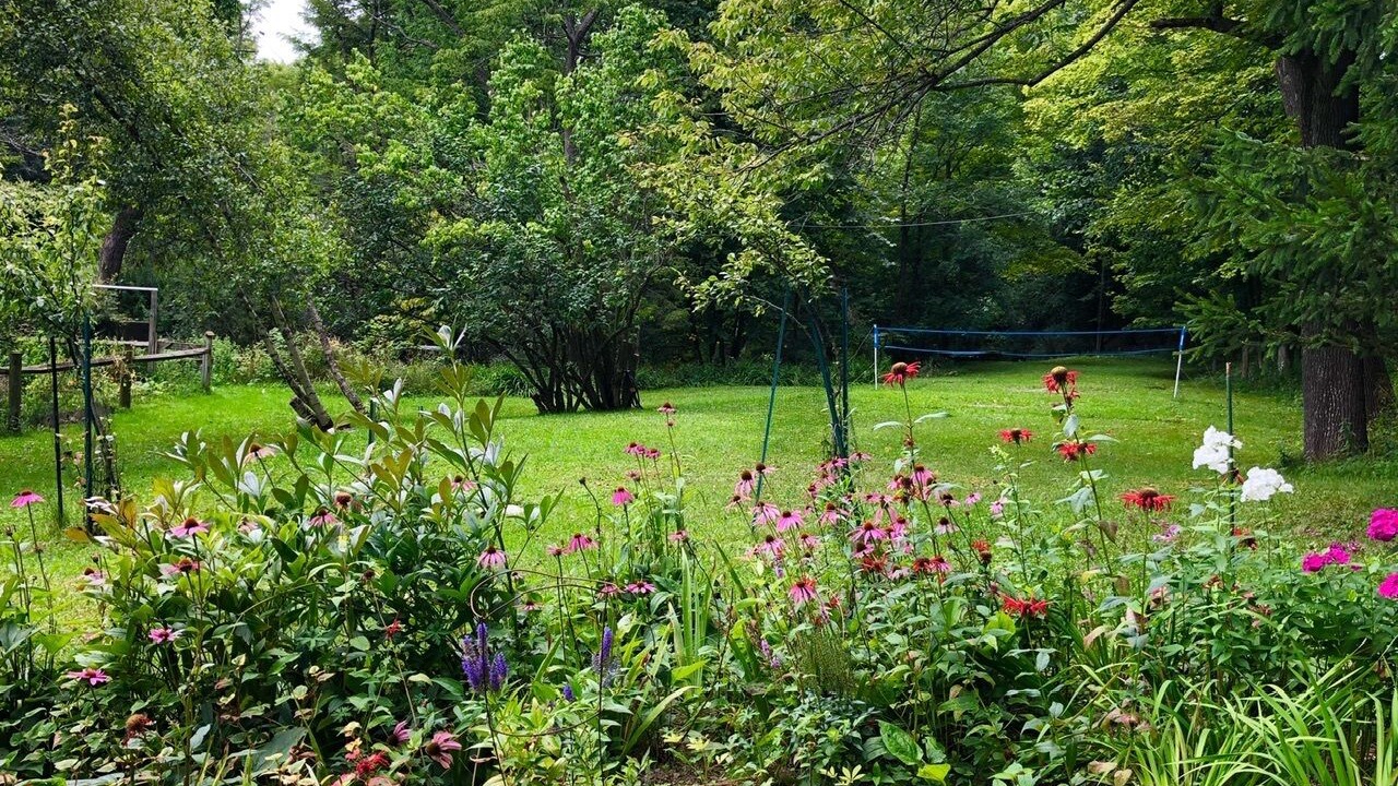 Photo of Outdoor in Alfred