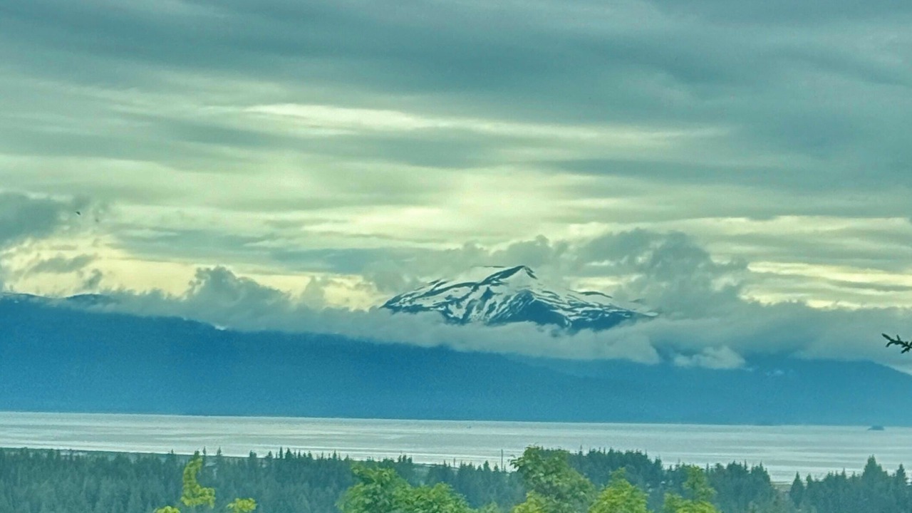 Photo of Others in Homer