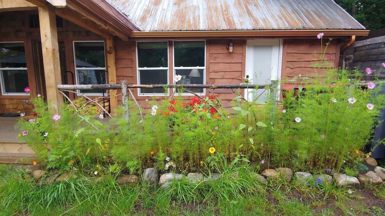 Photo of Outdoor in Stony Creek
